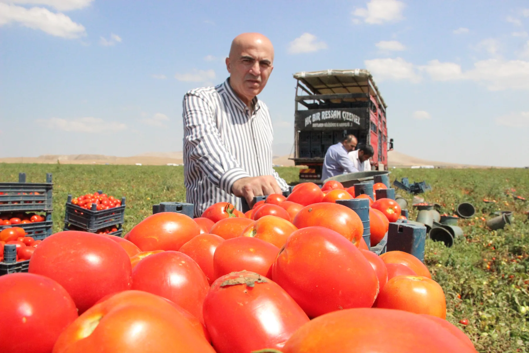 Sebze Üretimi Tarla Ziyaretimiz — fotoğraf 8